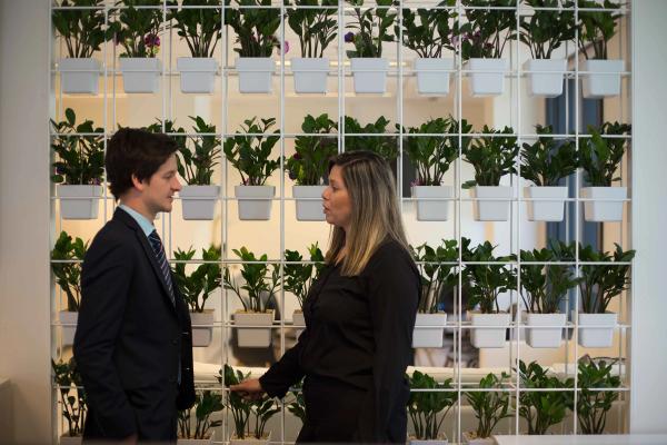 Get a Free Consultation