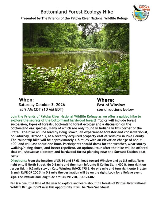Bottomland Forest Ecology Hike near Winslow event image