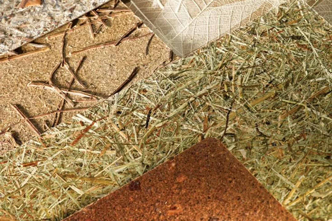 9 Sustainable Interior Materials for Eco-Friendly Homes