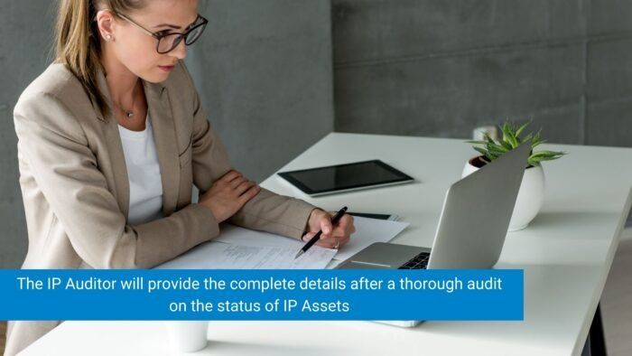 Intellectual Property Auditor