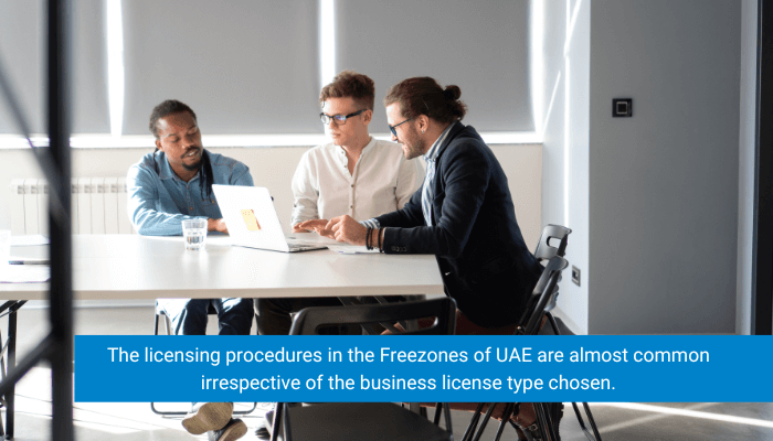 free zone professional license in dubai