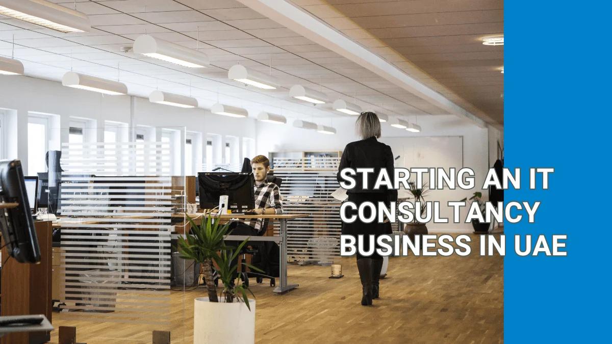 Starting an IT Consultancy Business in UAE