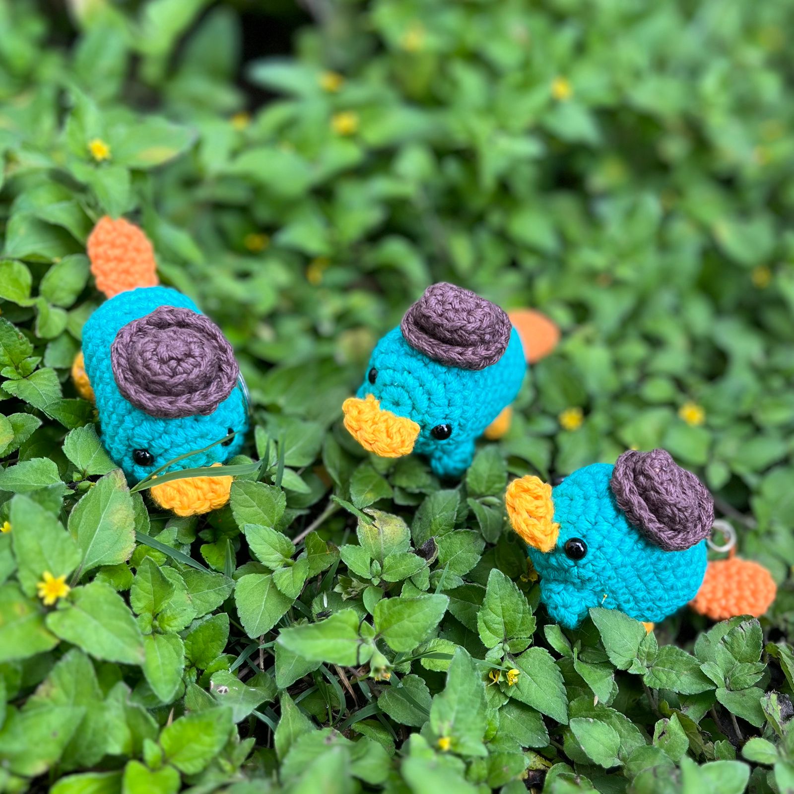 Perry el Ornitorrinco