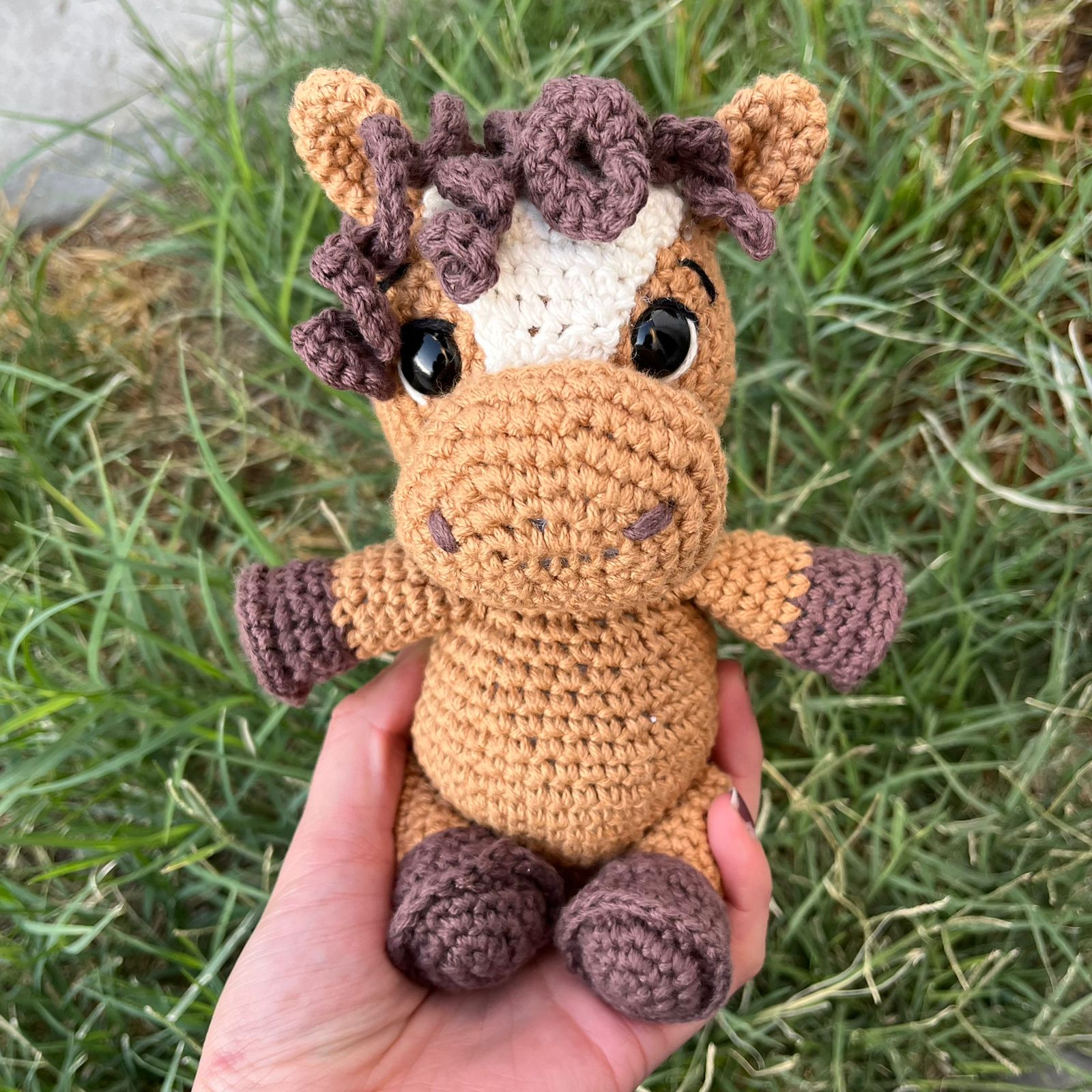Caballo