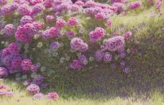 Mit neuem Design zu einer grüneren Welt