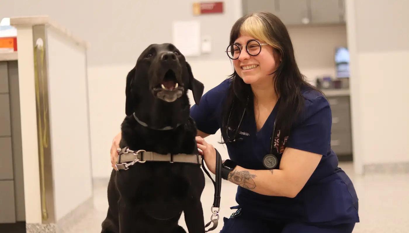 From Our Clients (and Their Pets): A Thank You to Our Hospitals