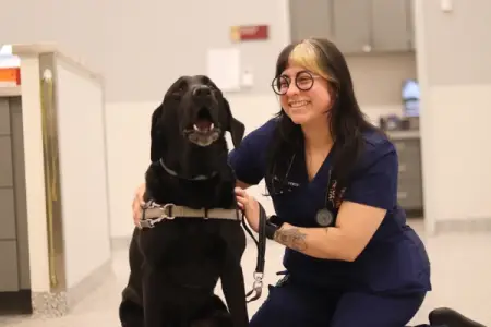 From Our Clients (and Their Pets): A Thank You to Our Hospitals