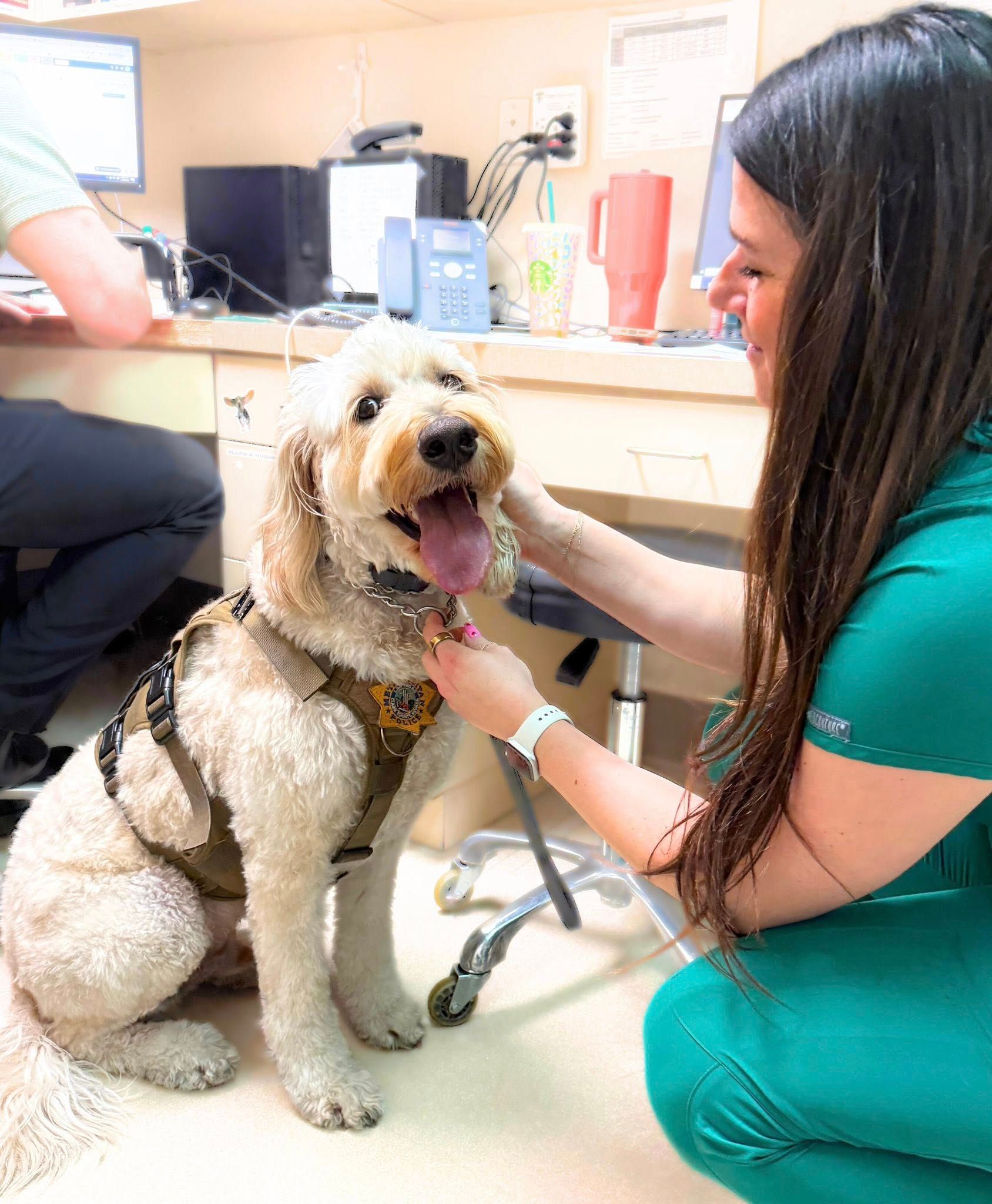 Protecting the K9 Teams Who Protect Us