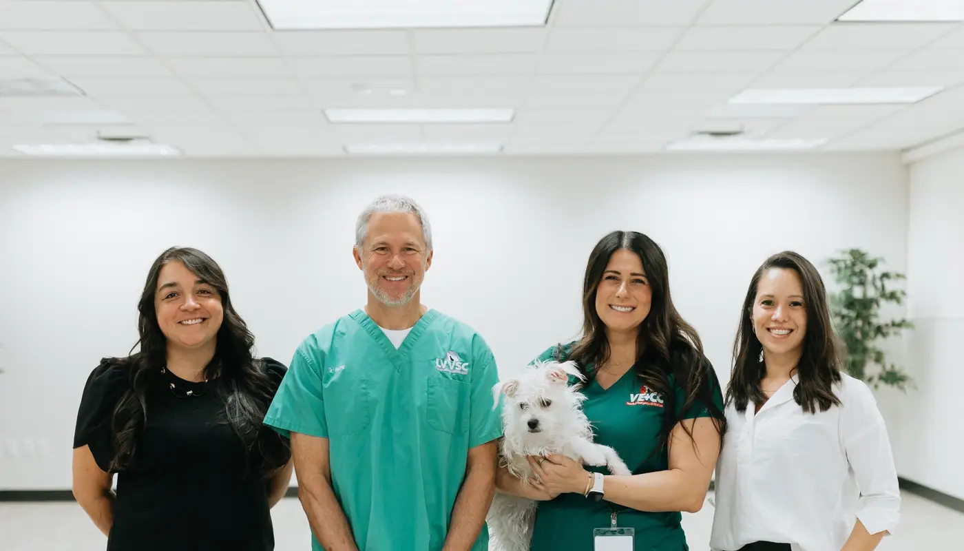 LVVSC and VE+CC: Where Women Leaders Shape Care and Culture