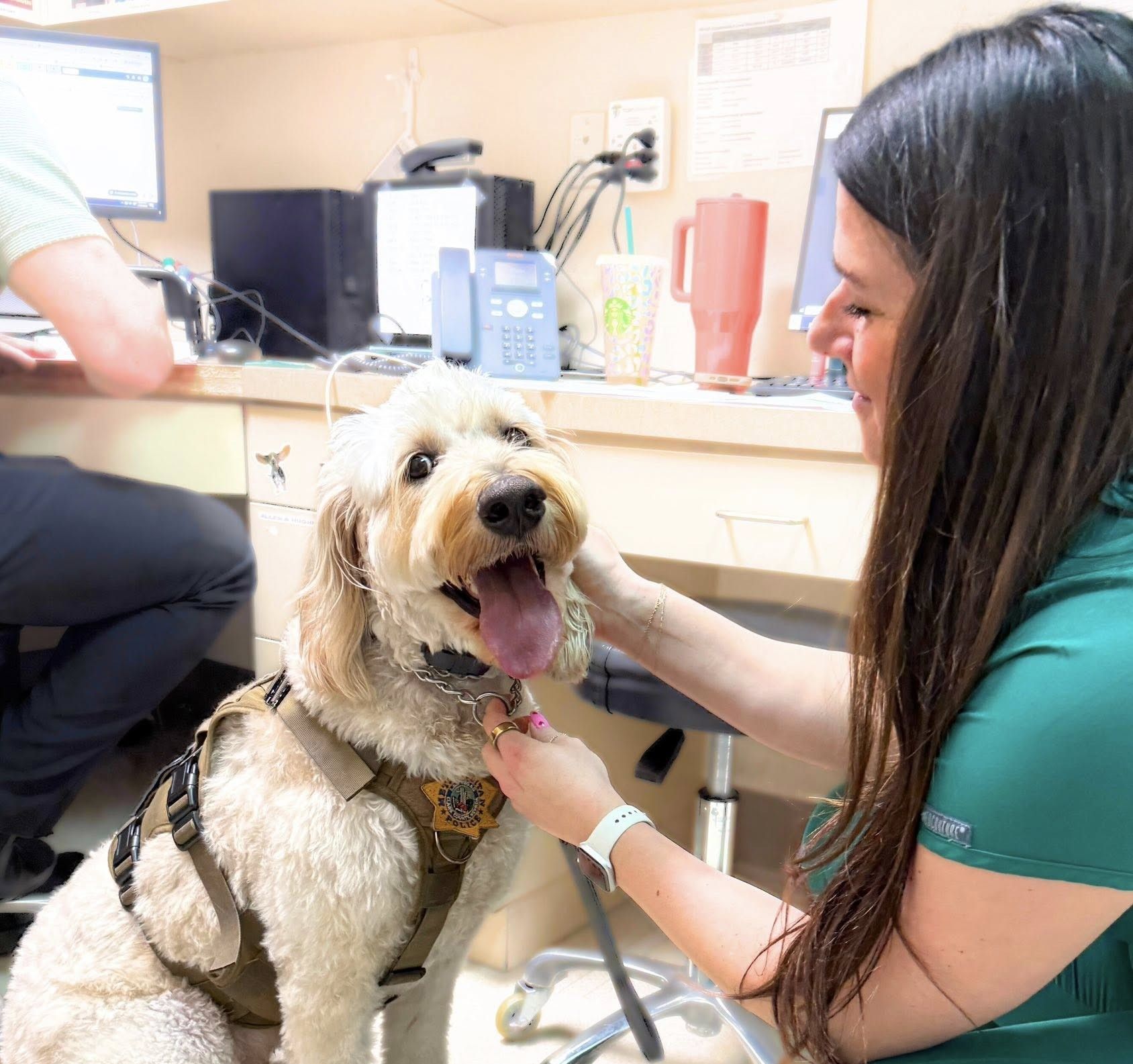 Protecting the K9 Teams Who Protect Us at LVVSC and VE+CC