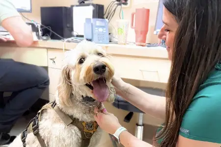 Protecting the K9 Teams Who Protect Us at LVVSC and VE+CC