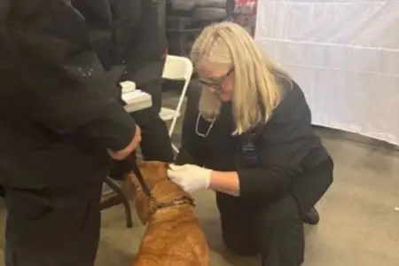 AVSG Internal Medicine, Emergency & Critical Care x Search Dog Foundation