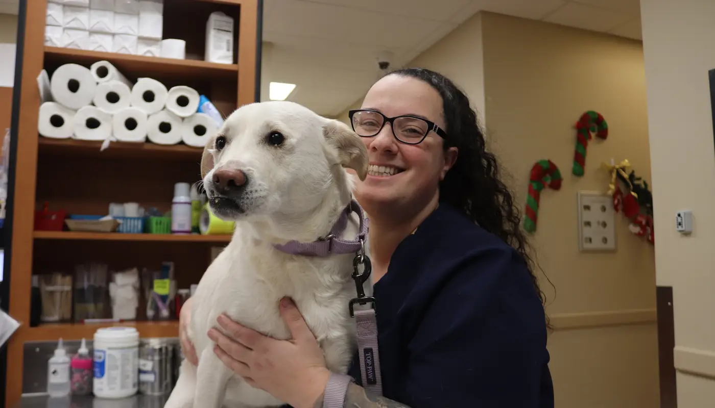 Greater Staten Island Veterinary Services Gives Voice to the Voiceless