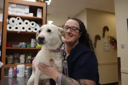 Greater Staten Island Veterinary Services Gives Voice to the Voiceless