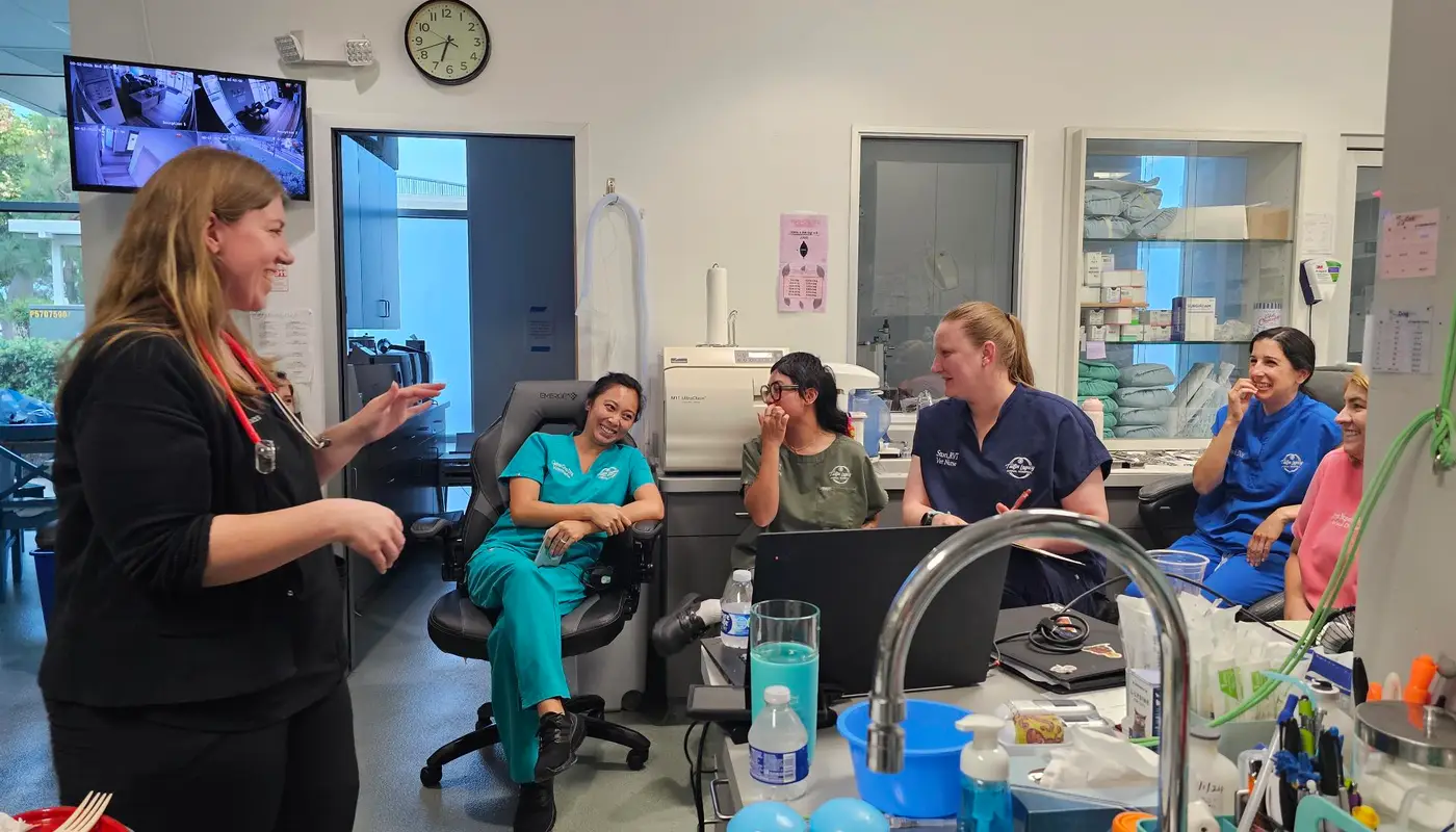 Hands-On POCUS Training for Local Veterinarians