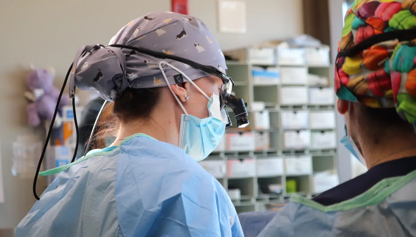 Celebrating World Veterinary Day