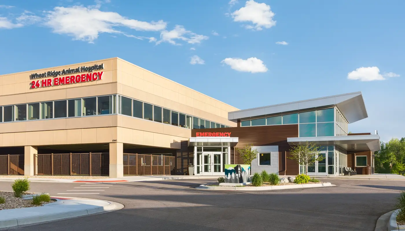 Sustainable Design at Wheat Ridge Animal Hospital