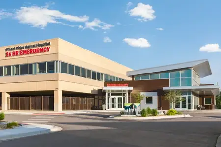 Sustainable Design at Wheat Ridge Animal Hospital