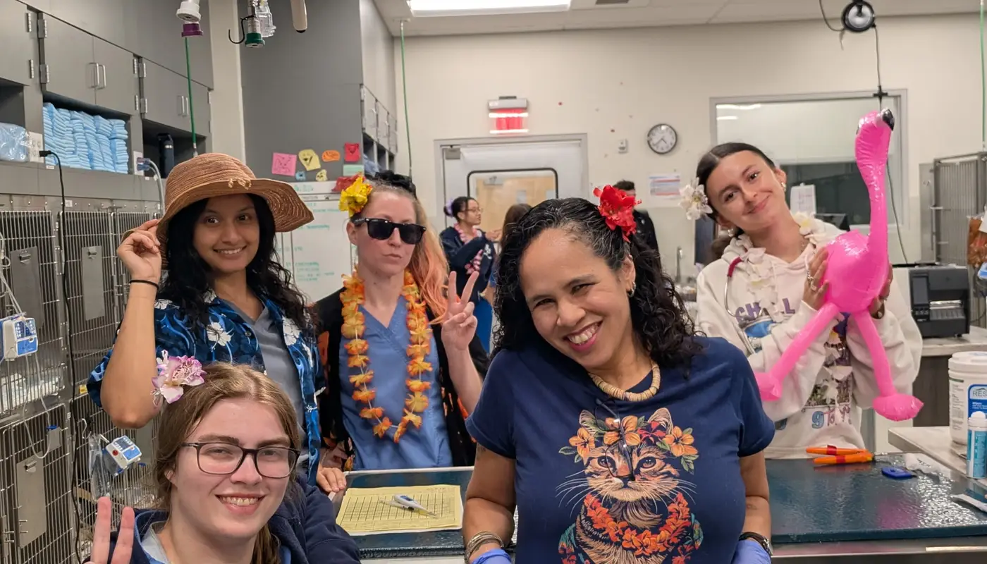 A Look Back at Spirit Week