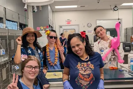 A Look Back at Spirit Week