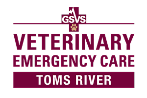 GSVS Veterinary Emergency Care Toms River