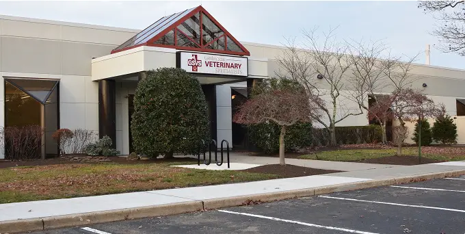 New Jersey & New York