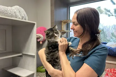 Angel Fund at Wheat Ridge Animal Hospital