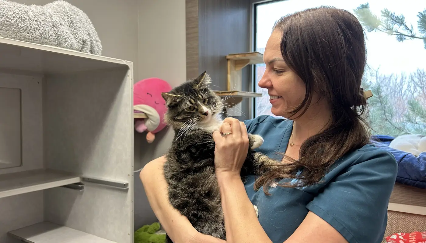 Angel Fund at Wheat Ridge Animal Hospital