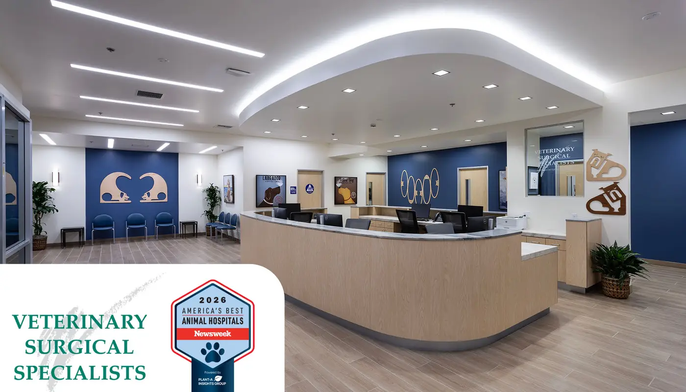 Veterinary Surgical Specialists Named to Newsweek’s America’s Best Animal Hospitals 2026