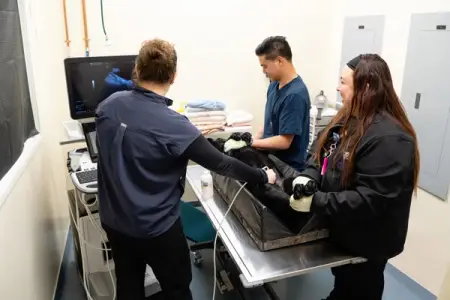 Creating a Culture of Connection at VSS/AVSG