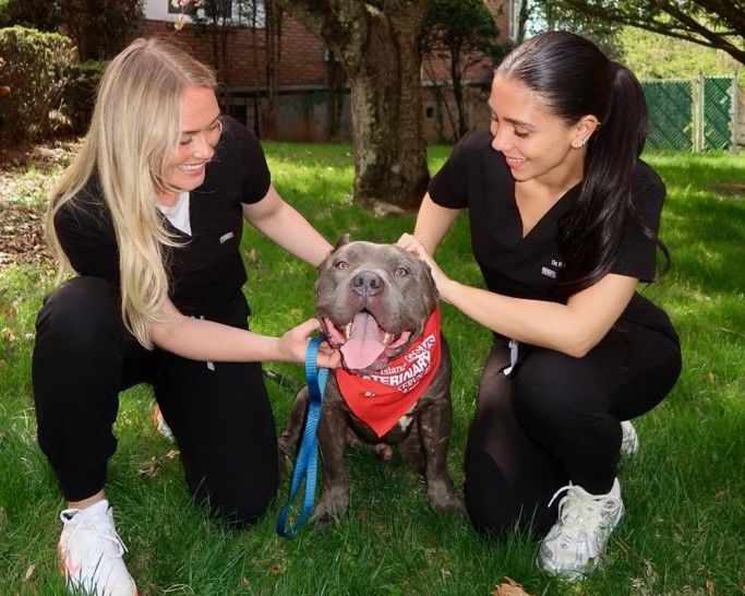 Greater Staten Island Veterinary Services Gives Back to Shelter Pets