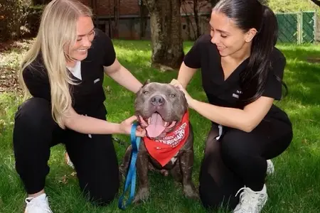 Greater Staten Island Veterinary Services Gives Back to Shelter Pets