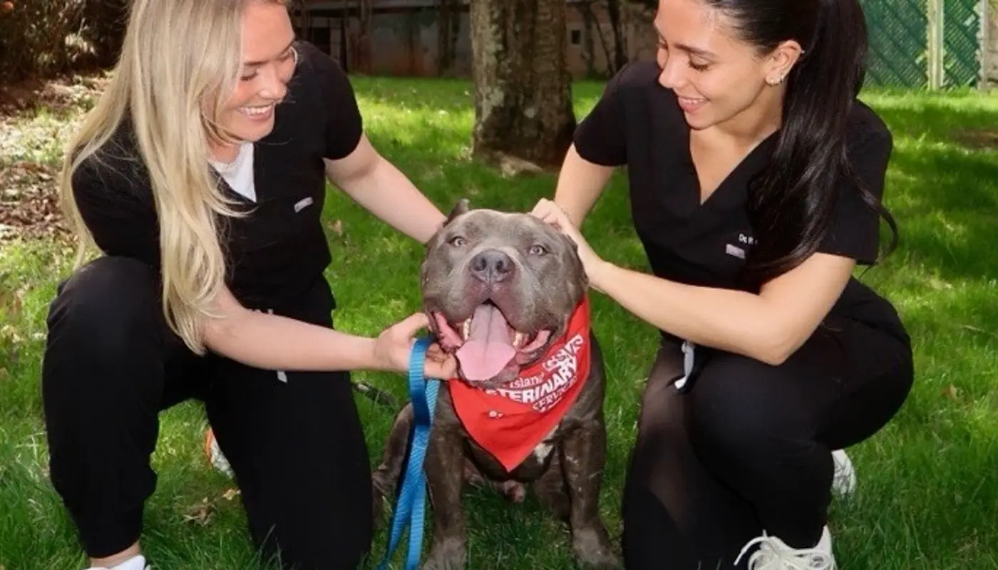 Greater Staten Island Veterinary Services Gives Back to Shelter Pets