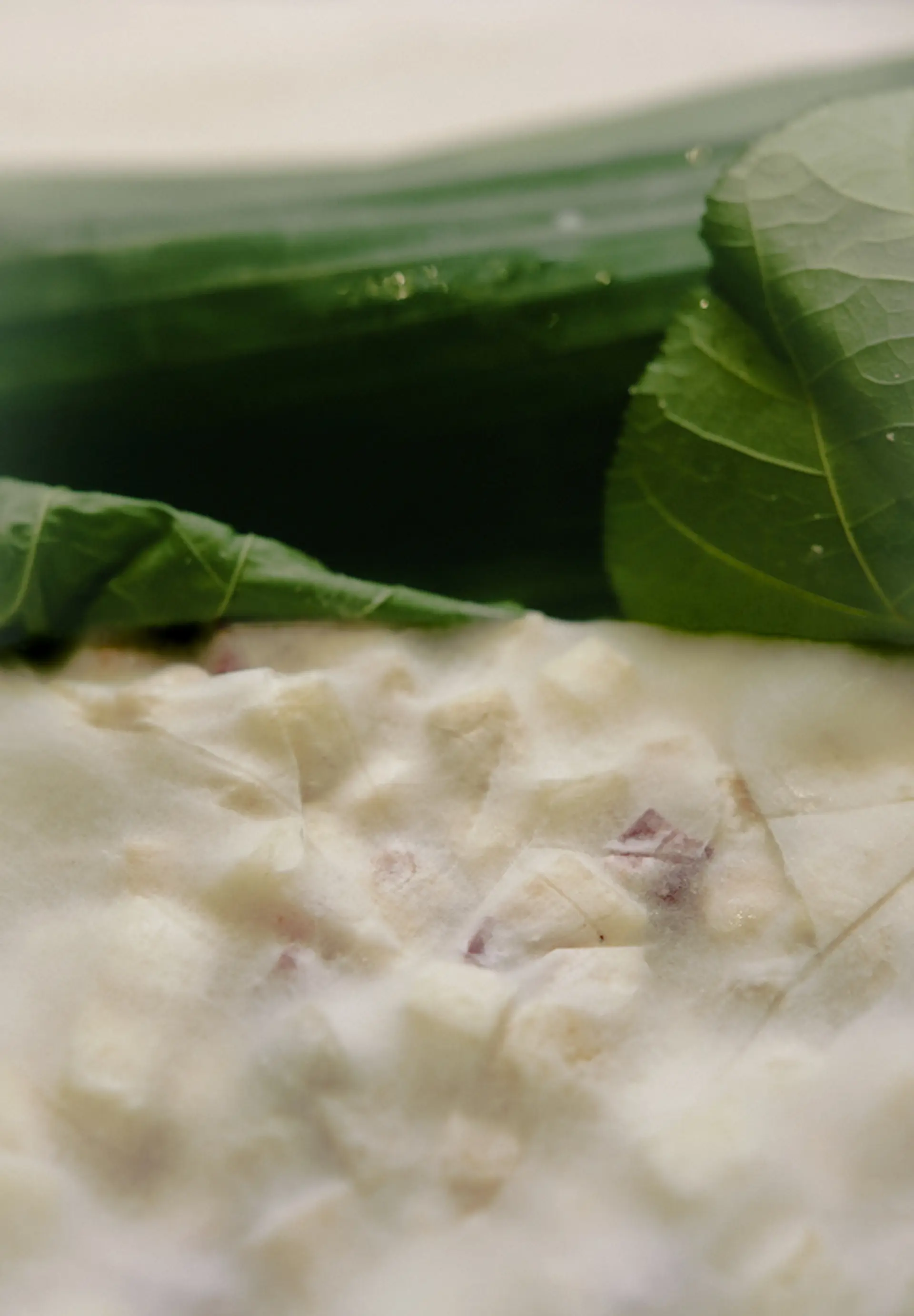 Locavore NXT