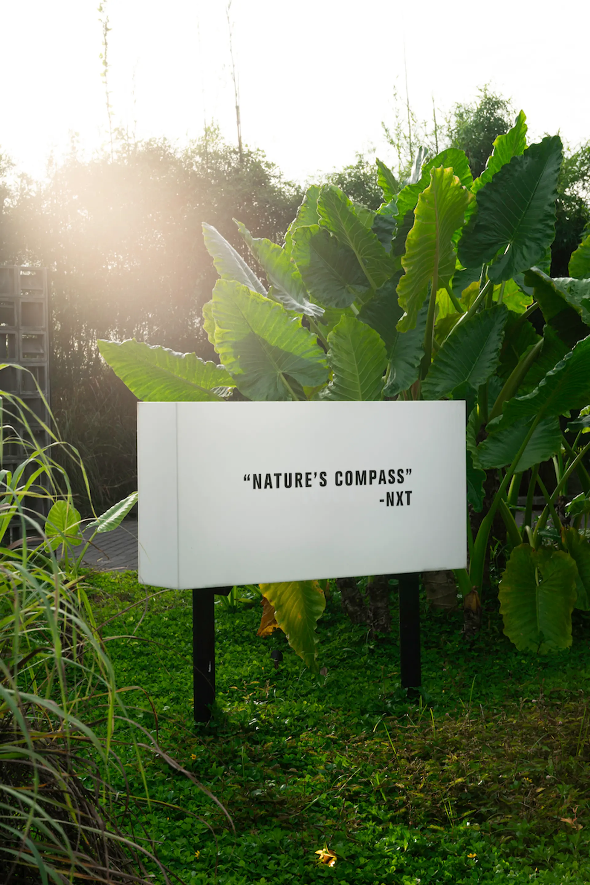 Locavore NXT