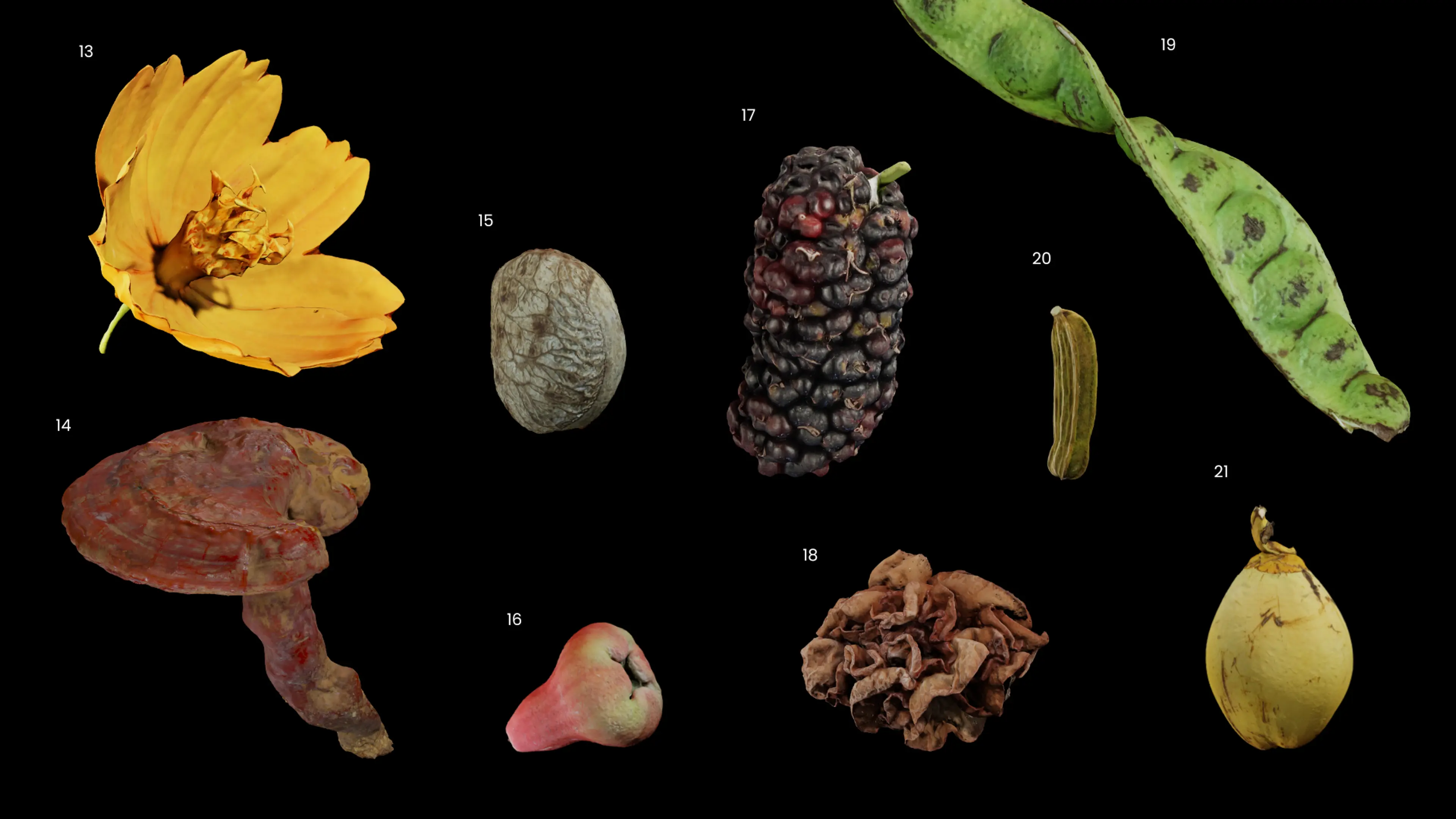 Locavore NXT