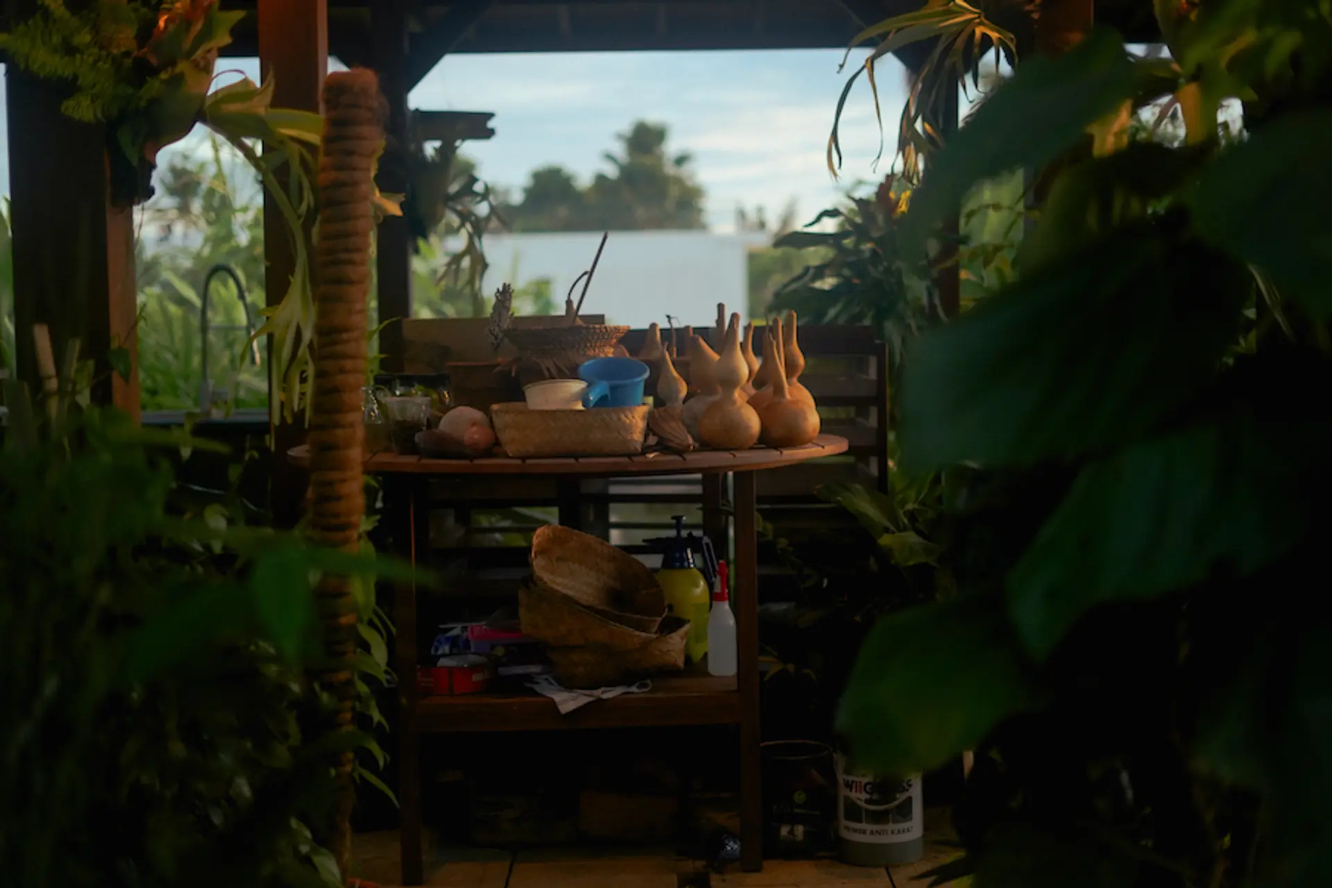 Locavore NXT