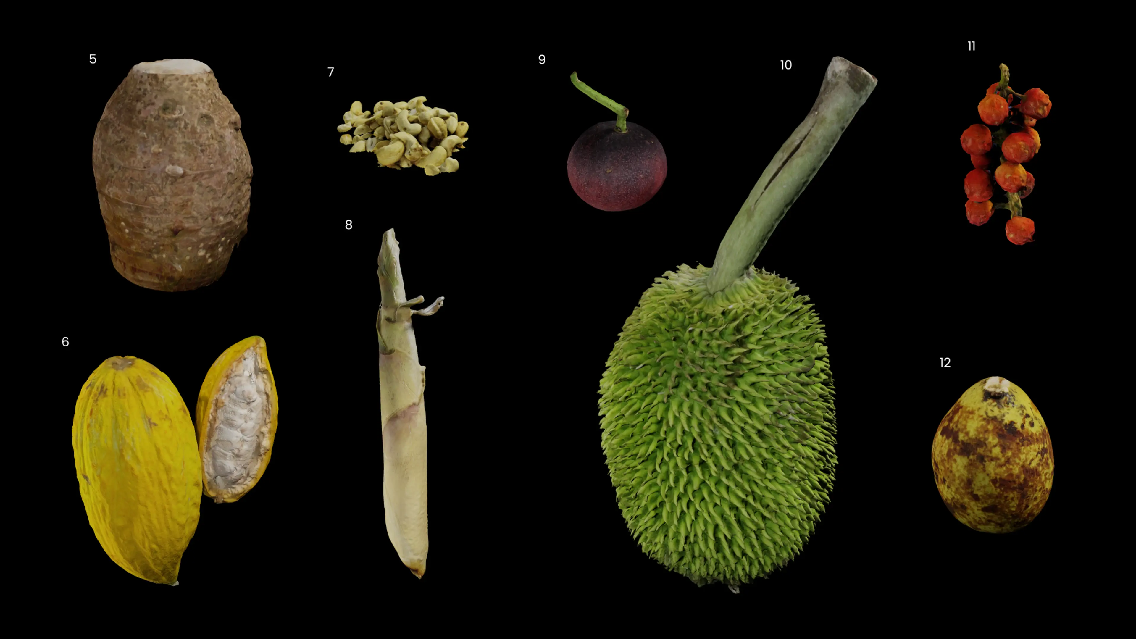 Locavore NXT