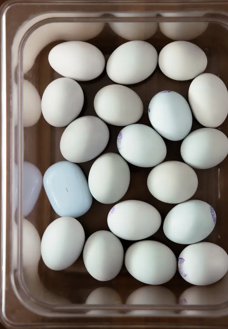 Lost and Found - Salted egg