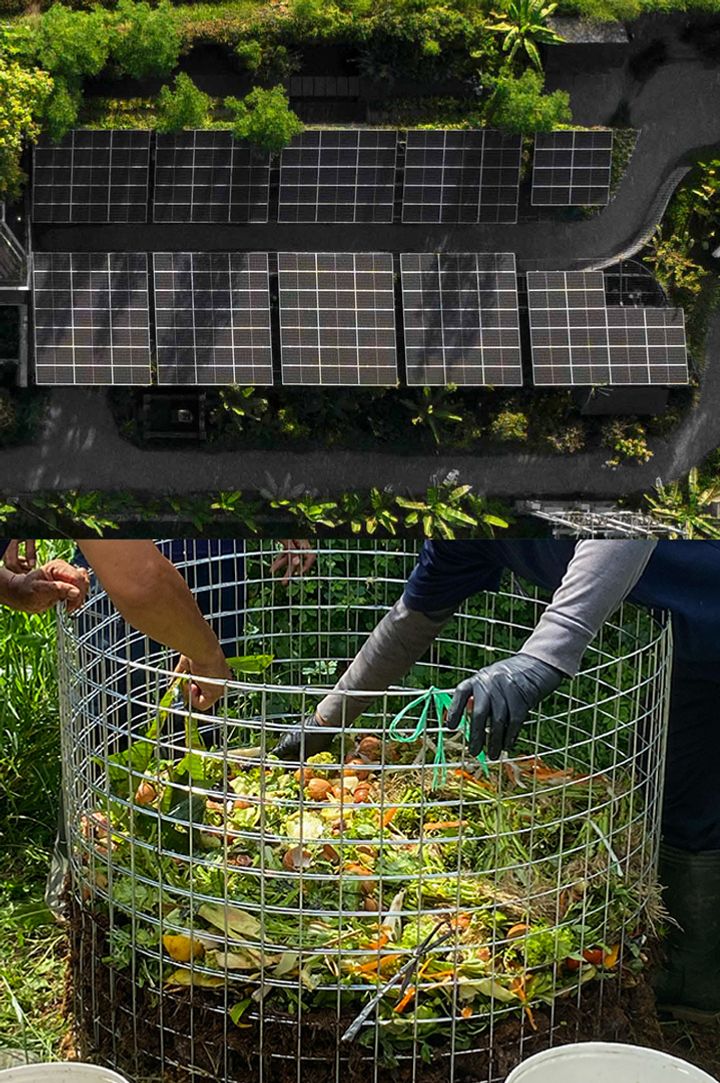 Locavore NXT