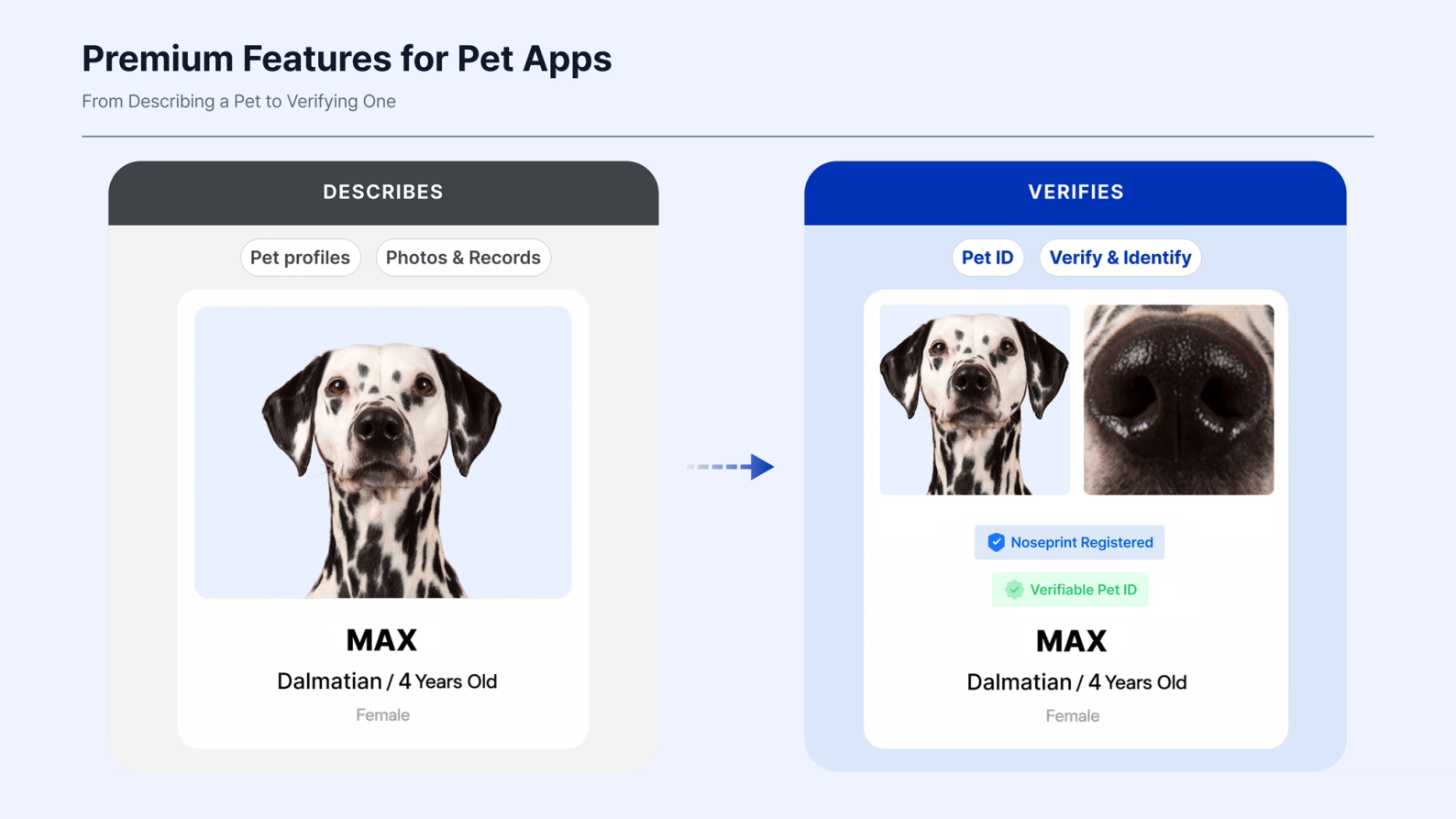 Comparison showing how a standard pet profile with photos and records can be enhanced with biometric Pet ID, noseprint registration, verification, and identification.