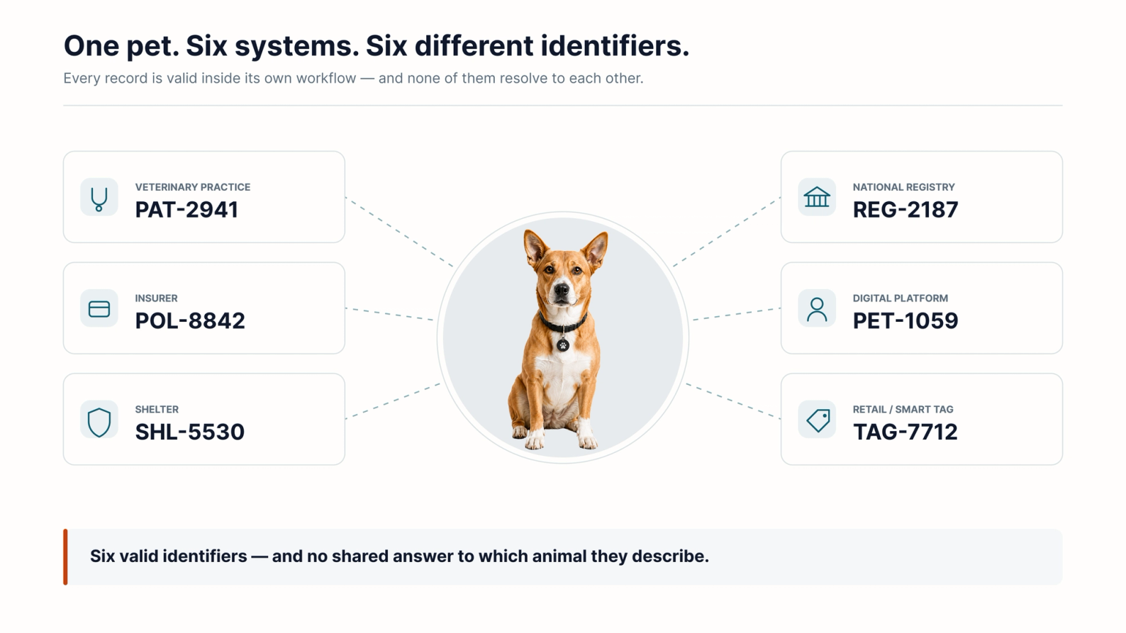 Diagram showing one dog at the centre connected by dashed lines to six separate record cards, each using a different identifier format for the same animal.