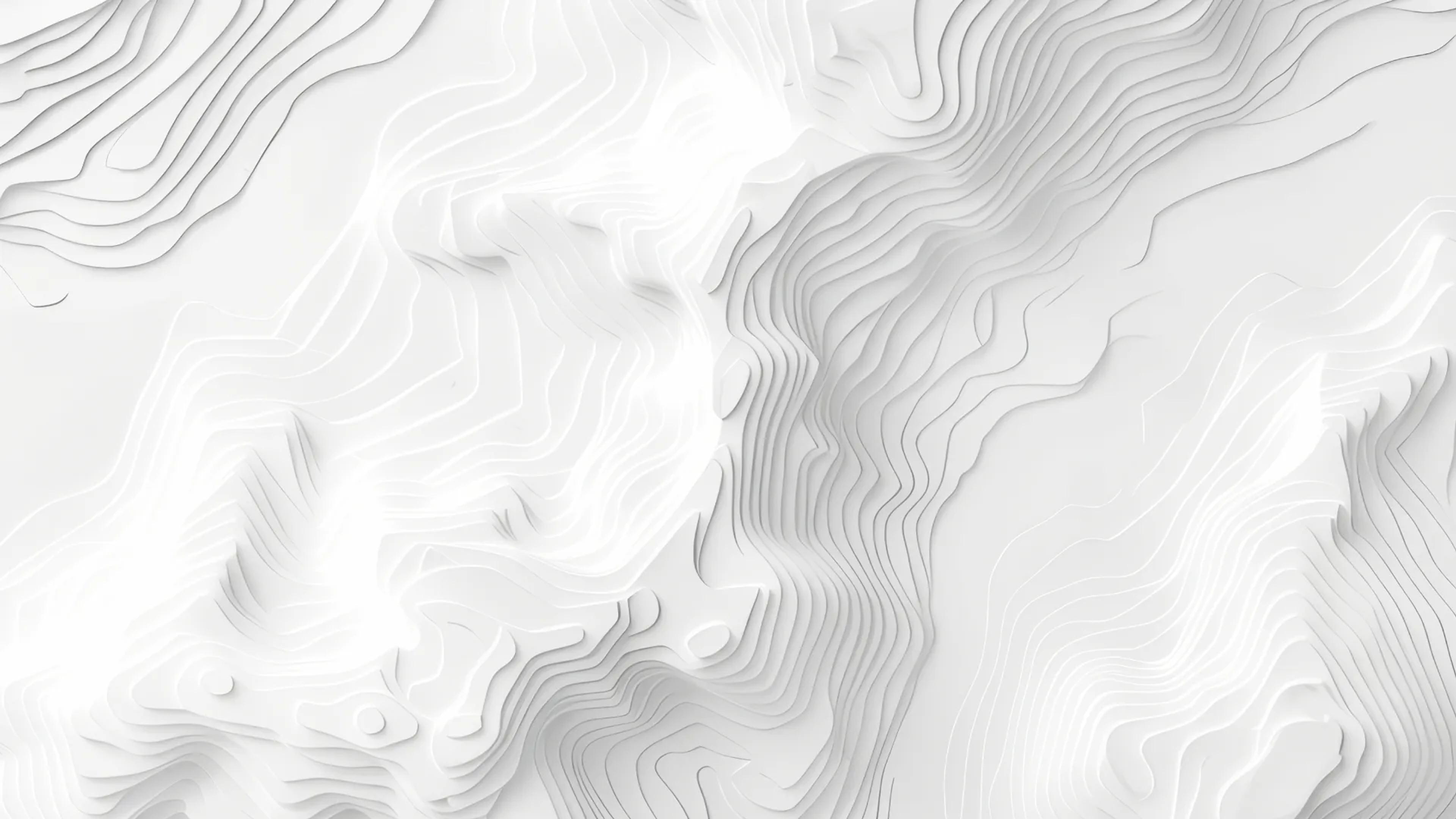 White topographic relief in fine, layered paper-cut contours.