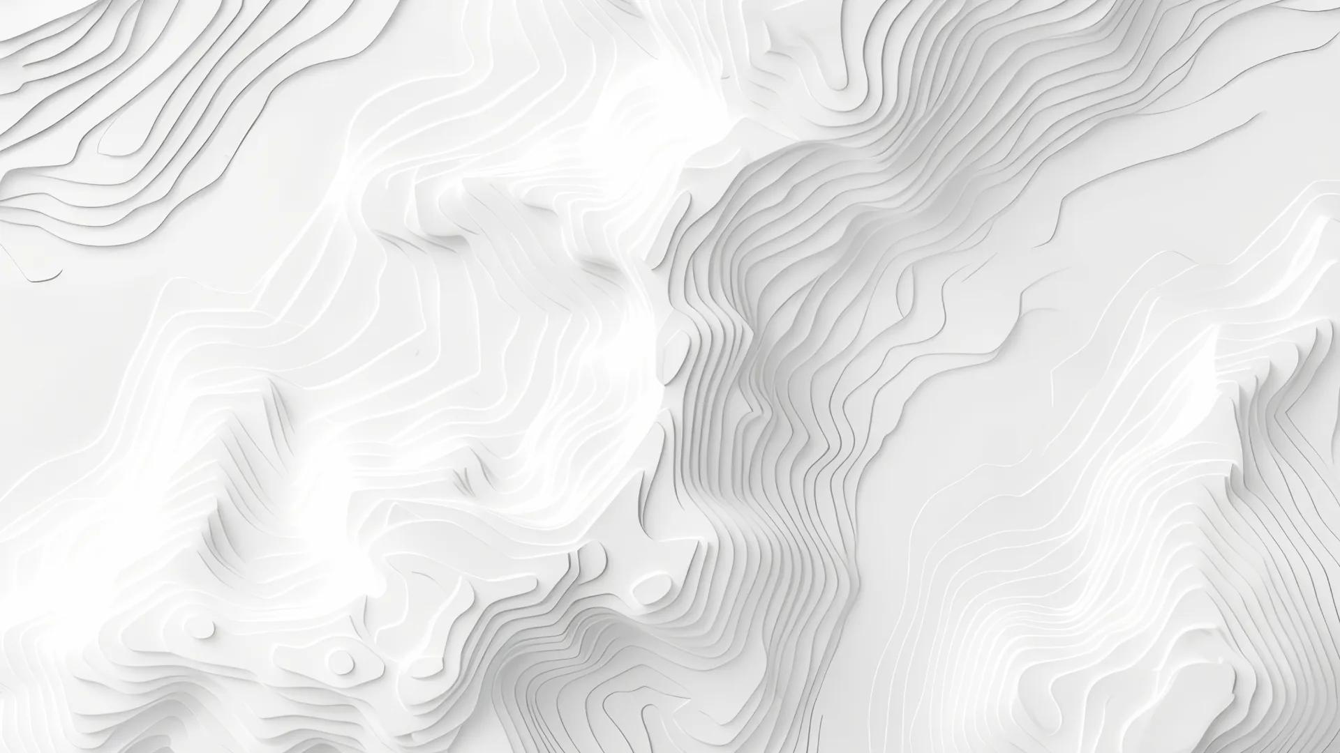 White topographic relief in fine, layered paper-cut contours.