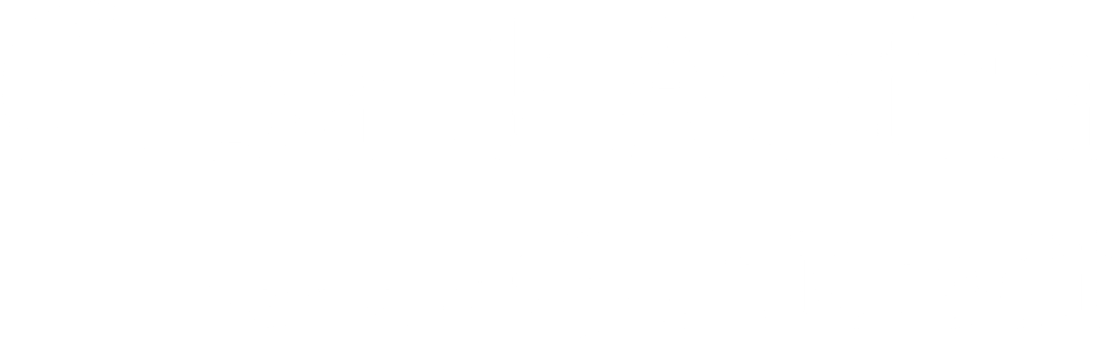 PartnerBank-Austria-ColorWhite.png