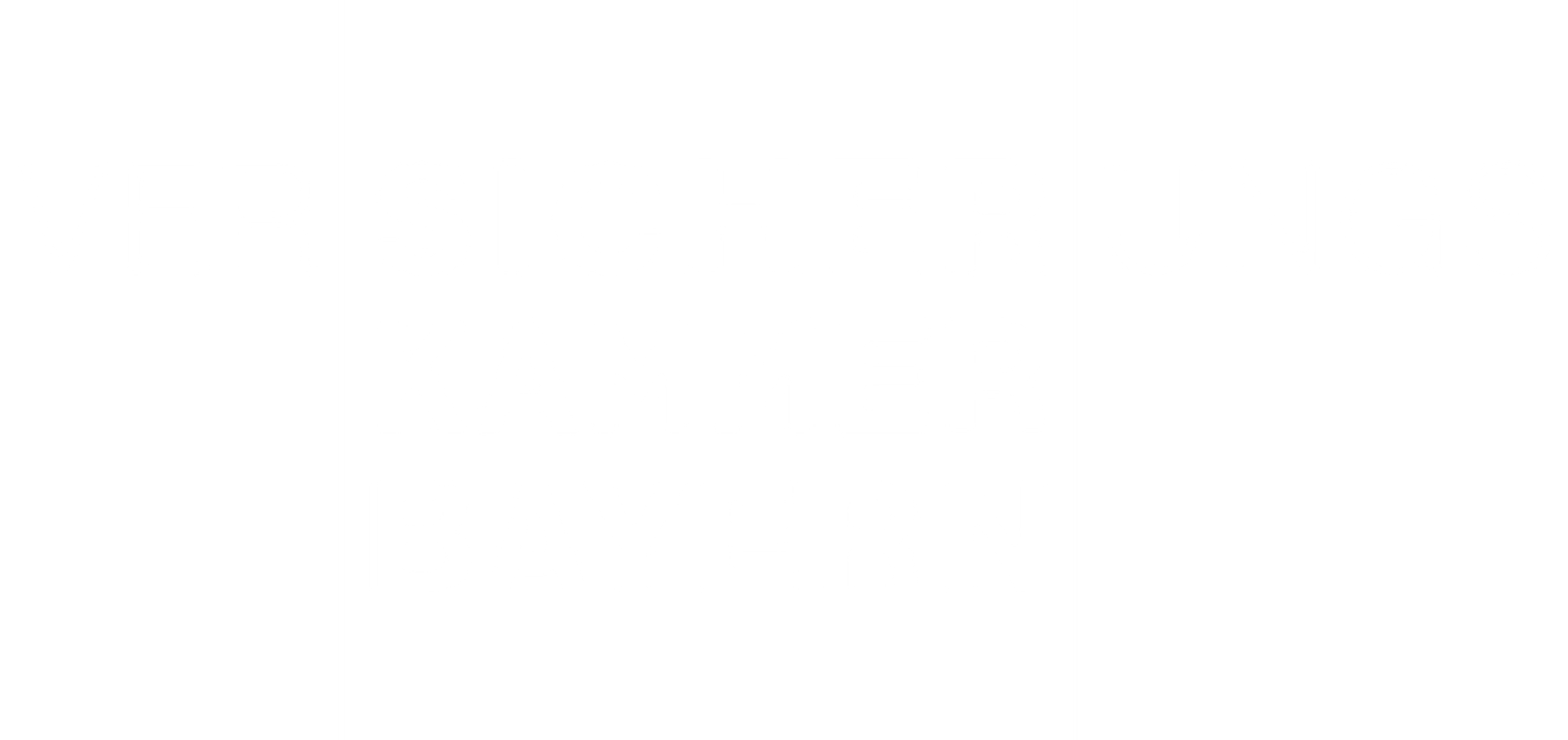 PartnerVKB-ColorWhite.png