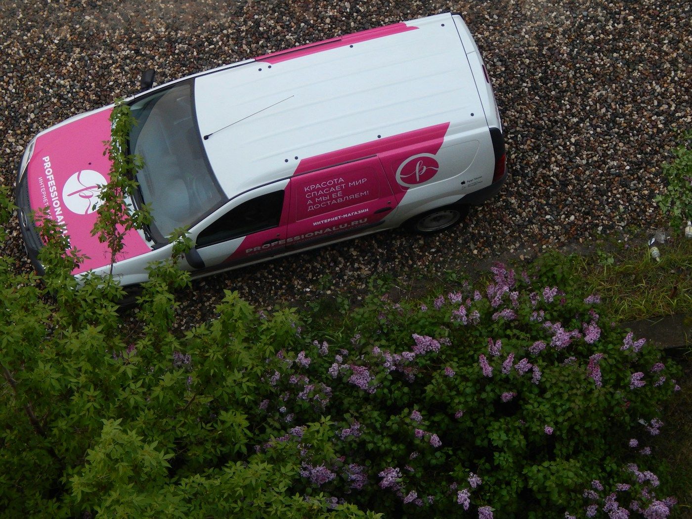 Furgone bianco con grafica rosa