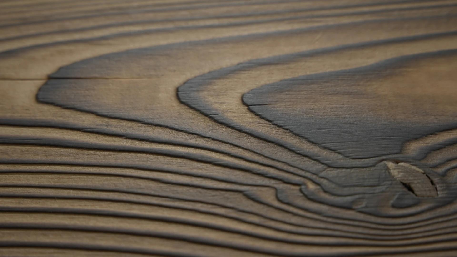 European Larch