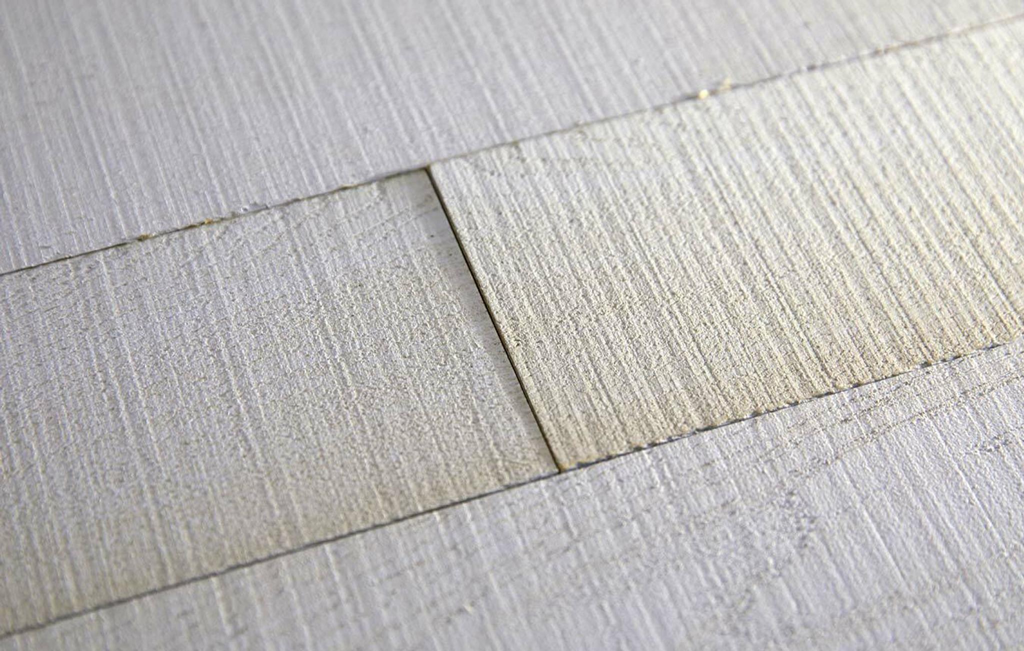 Fossil_Plank_BOLD015_Detail