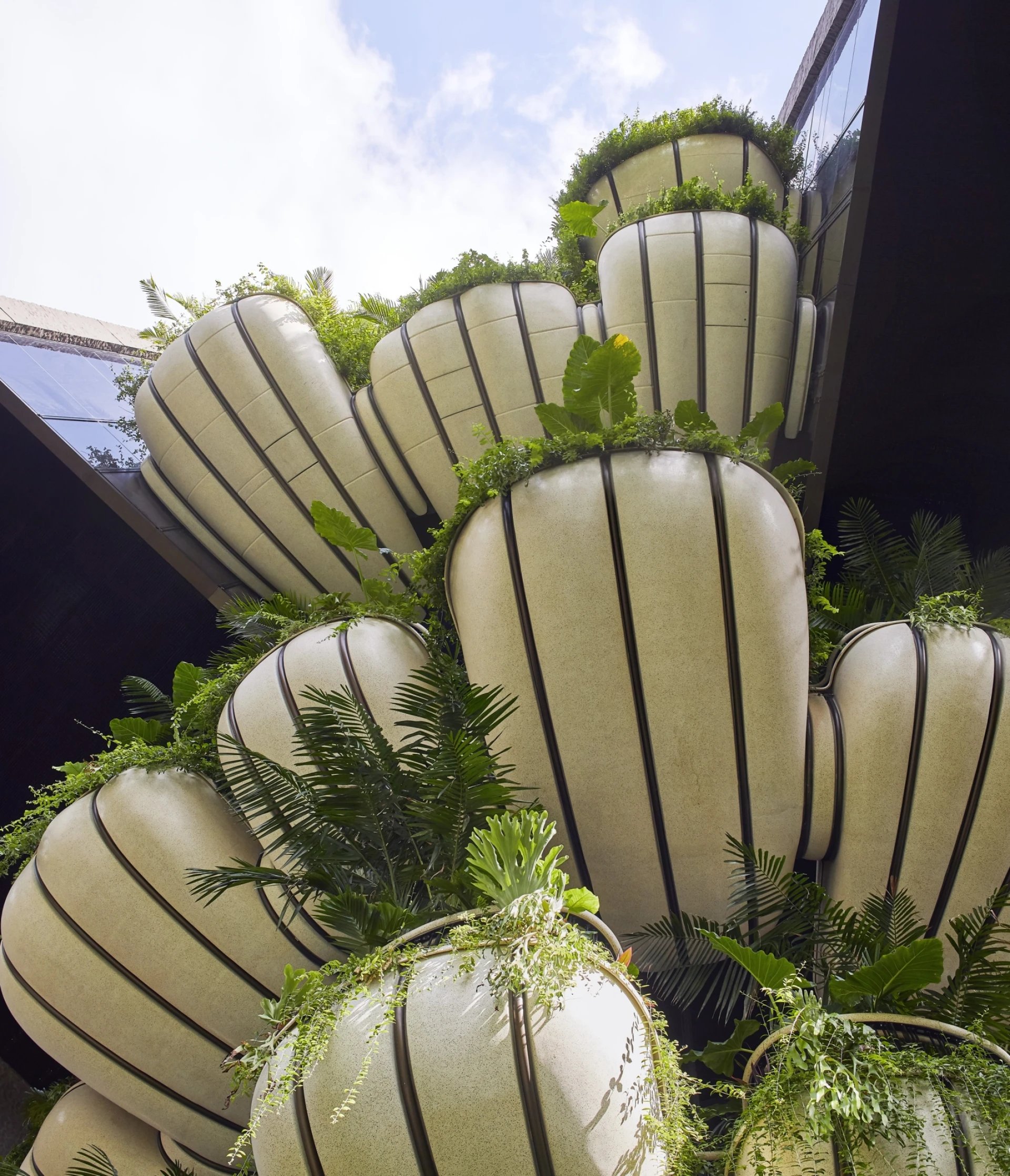 Biophilic design